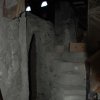 Burgio_2009 (474)